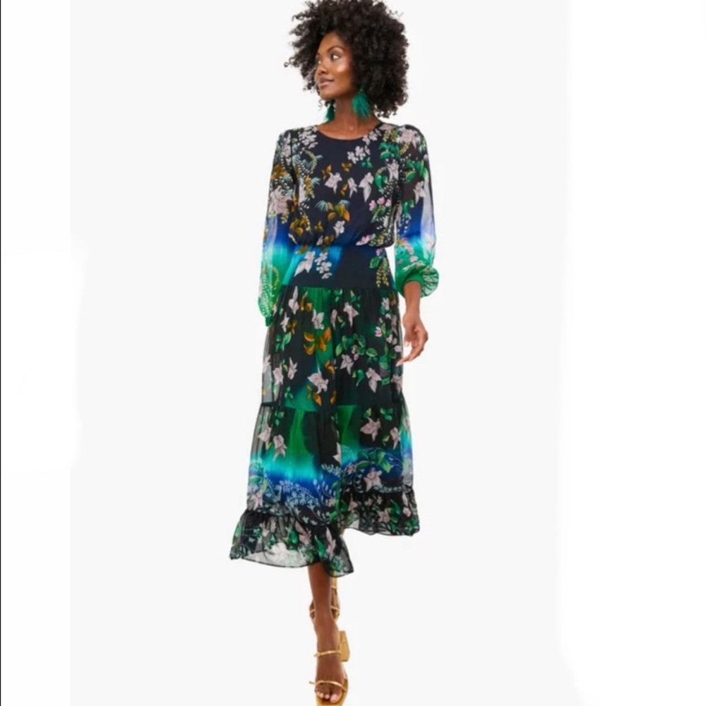 SALONI Black Floral Midi Dress with Green and Blue Ombre